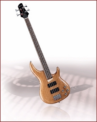 Đàn Guitar Electric Bass HB-340(WA)
