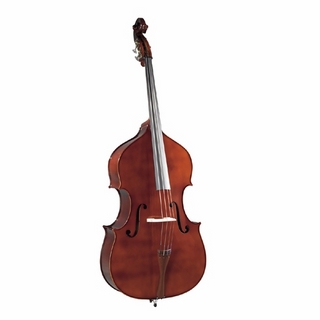 Pearl River Double Bass B040s