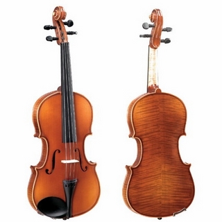 Pearl River Violin V019
